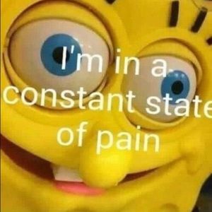 Meet your Posher, Jocelyn